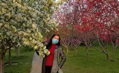 说事拉理全部视频